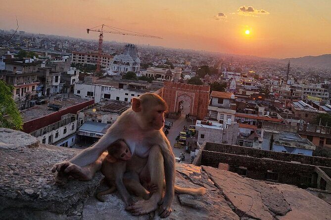 Jaipur Tuk Tuk Sightseeing Tour with Monkey Temple Sunset View - City Palace: Where Jaipur’s Power Shows in Stone