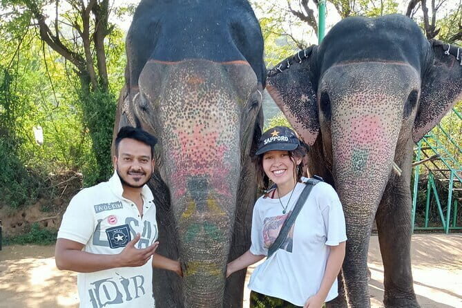 Jaipur Tuktuk Local Sightseeing Day Tour - Price and logistics: what $8 gets you (and what’s extra)
