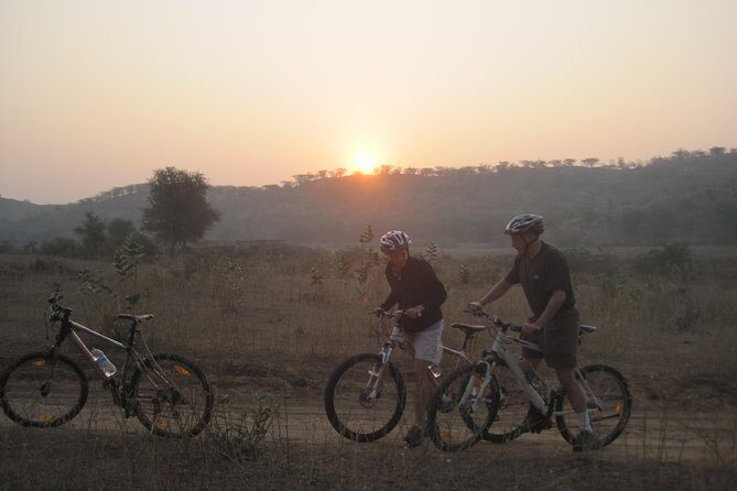 Jaipur Village Cycling Safari - Key Things That Make This Safari Worth It