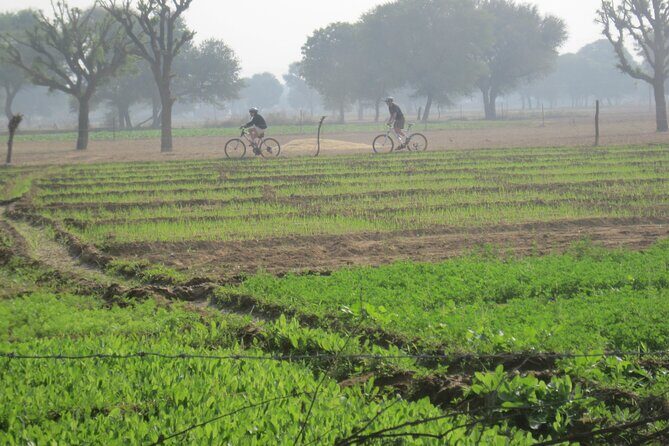Jaipur Village Cycling Safari - Passing Through Villages: The Social Part of the Cycling Safari