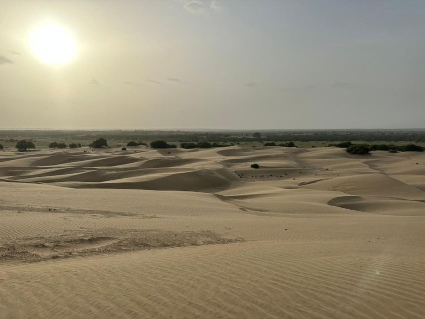 JAISALMER : DESERT EXPERIENCE SLEEPING UNDER THE STAR - Kuldhara stop: the story that makes the desert feel deeper