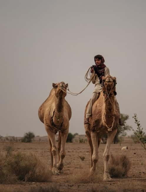 Jaisalmer: Experience a Luxury Desert Camping - Jeep Safari Adventure: What It Adds to the Day