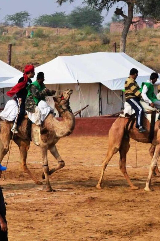 Jaisalmer: Jeep Safari,Camel Ride,Buffet Dinner & Folk Dance - Folk dance at the camp: Rajasthan culture in an evening format