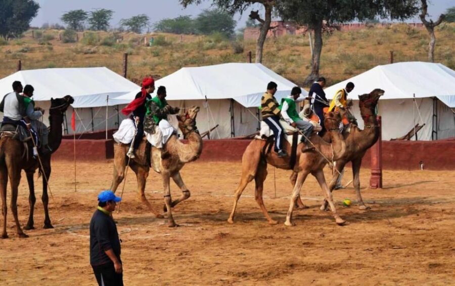 Jaisalmer: Jeep Safari,Camel Ride,Buffet Dinner & Folk Dance - Price and logistics: is $55 good value in Jaisalmer?