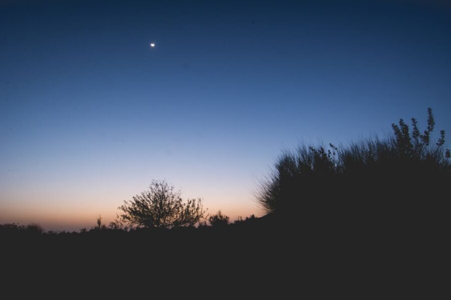 Jaisalmer: Romantic Night with Luxury Desert Camping - Price and Value: How $9 Makes Sense Here (and Where It Doesn’t)