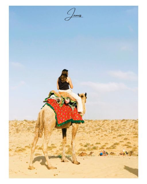 James Desert Experience - Sunset Tea, Dinner By Camel Drivers, And Evening Camp Energy