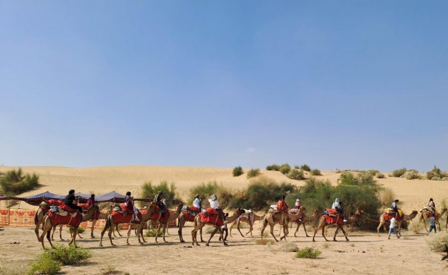 Jeep & Camel Ride, Musical Evening in The Desert Luxury Camp - Key Things to Know Before You Go