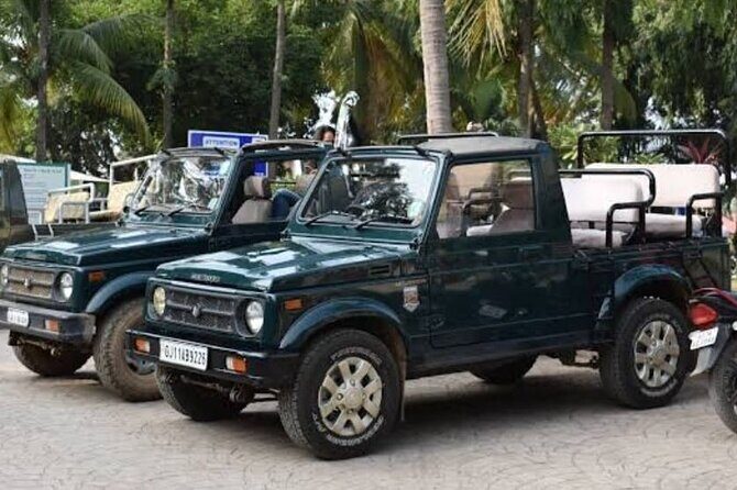 Jeep Safari: A Skip the line access to Devalia Safari Park India - Skip-the-Line Access: What It Saves You (and What It Doesn’t)