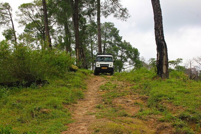 Jeep Safari and Picnic Tour - From Pickup to Palampur Views: The 4-Hour Shape of the Day