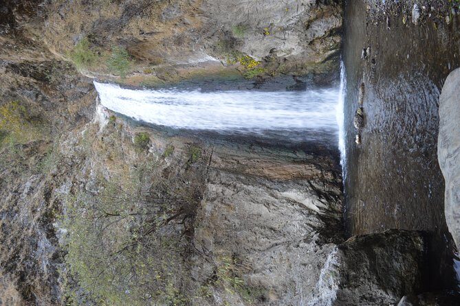 Jharipani Waterfall and Picnic Half day Hike - Key highlights before you go