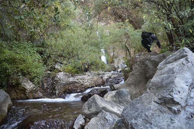 Jharipani Waterfall and Picnic Half day Hike - The walk: 2 km through forest and down to the falls