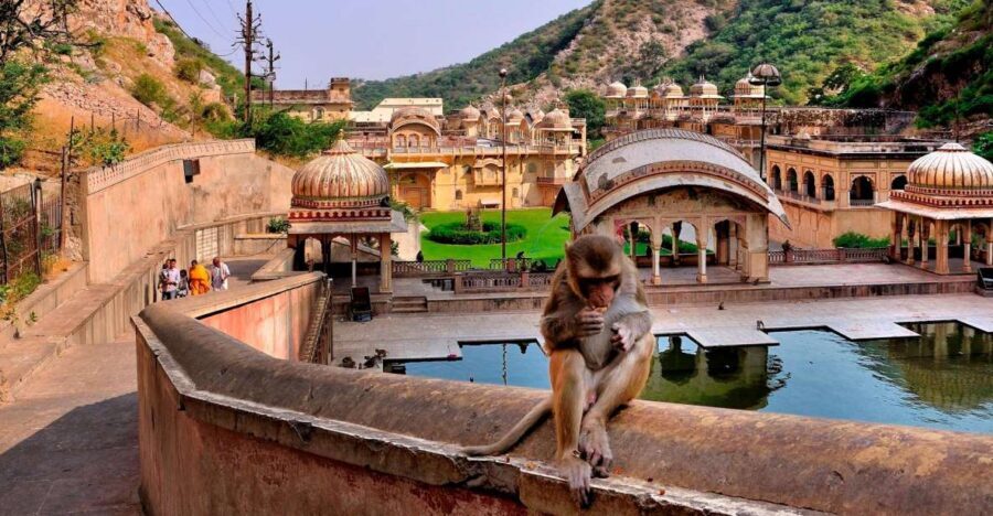 Jodhpur: Blue City Walking Tour - Navchowkiya and Blue Havelis: Temples, Lanes, and Photo Angles