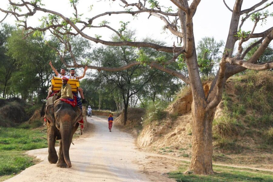 Jodhpur: Blue City Walking Tour - Around Mehrangarh Fort: Palaces and Mansions at the Edge