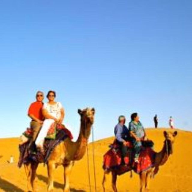 Jodhpur Camel & Jeep Safari with Sunset, Folk Dance, Dinner - Jeep safari: when you want speed and sand in the mix