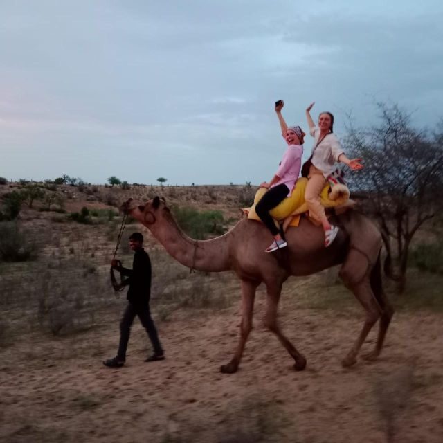 Jodhpur Camel & Jeep Safari with Sunset, Folk Dance, Dinner - Desert dinner: Marwari flavors and a home-family pace
