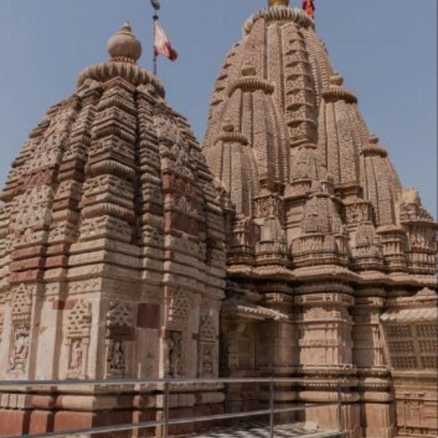 Jodhpur Camel & Jeep Safari with Sunset, Folk Dance, Dinner - Kalbeliya folk dance and bonfire: season matters