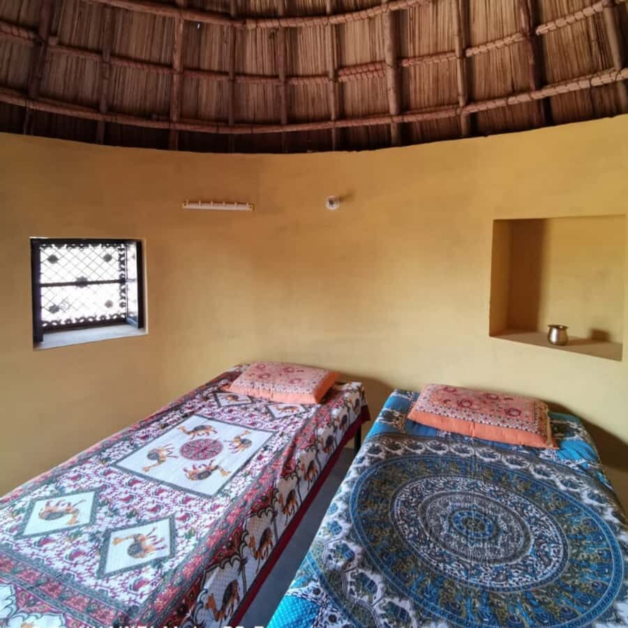 Jodhpur Camel Safari & Overnight Stay In Desert With Sumer - Osian and the Sachiya Mata Temple, then straight into Thar quiet