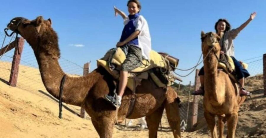 Jodhpur: Desert Camel and Jeep Safari with Traditional Food - Who Should Book This Safari (And Who Might Want Another Plan)