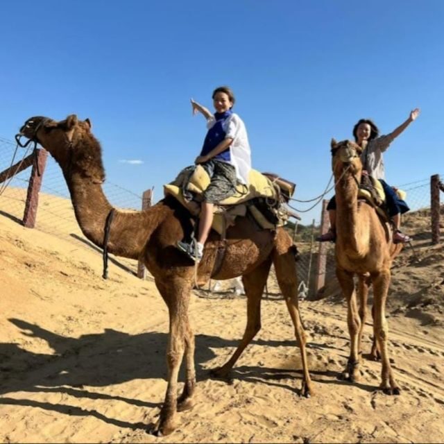 Jodhpur: Desert Camel and Jeep Safari with Traditional Food - The Village Visit: Where This Feels Personal (Not Staged)