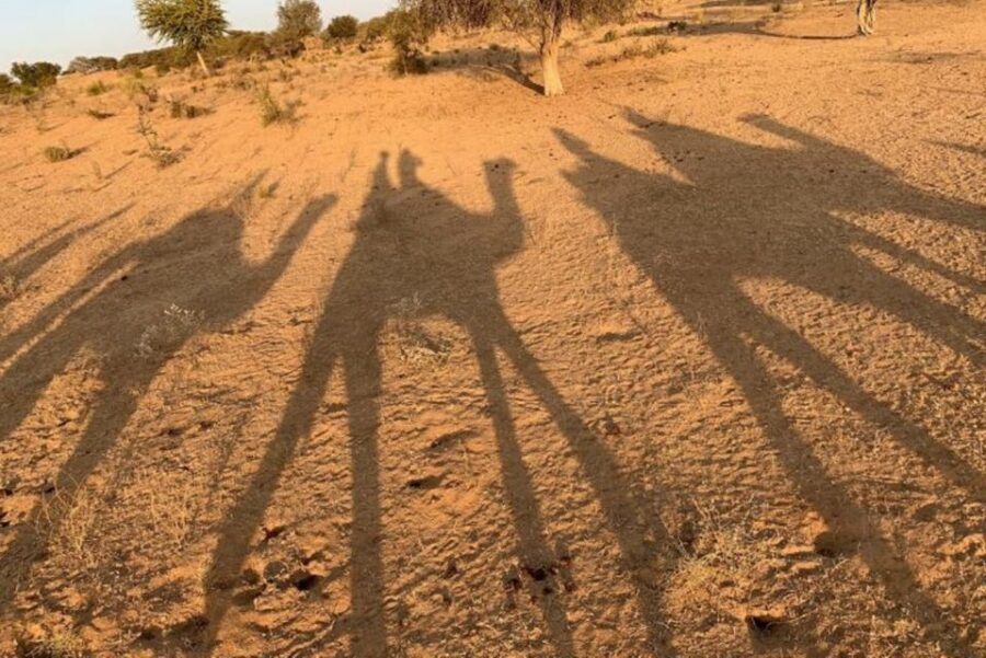 Jodhpur: Full-Day City Private Tour & Camel Safari - How This 10-Hour Jodhpur Day Runs (Fort, Palaces, Then Sunset)