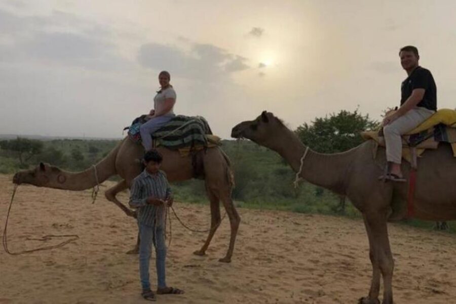 Jodhpur: Full-Day City Private Tour & Camel Safari - Private Driver and English-Speaking Guide: The Real Quality Difference