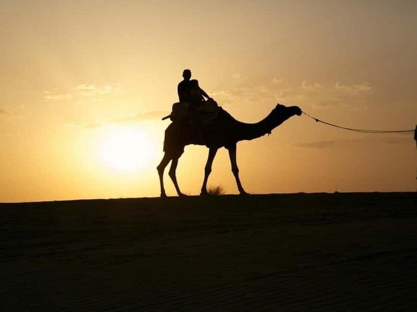 Jodhpur : Jeep Safari, Camel Ride,Buffet Dinner & Folk Dance - Key takeaways before you go