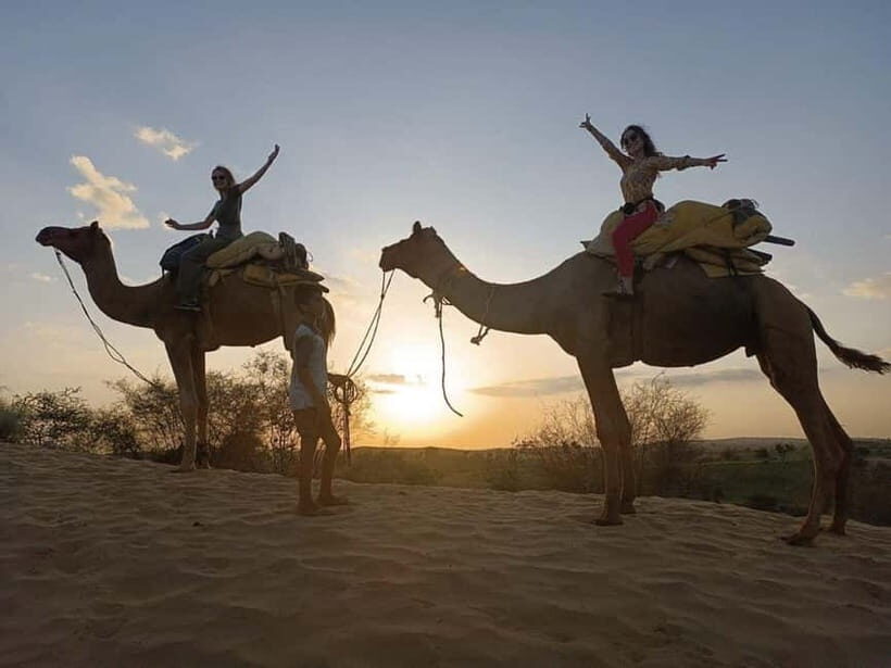 Jodhpur : Jeep Safari, Camel Ride,Buffet Dinner & Folk Dance - Jeep Safari Through the Thar Desert: The Rush Part of the Mix