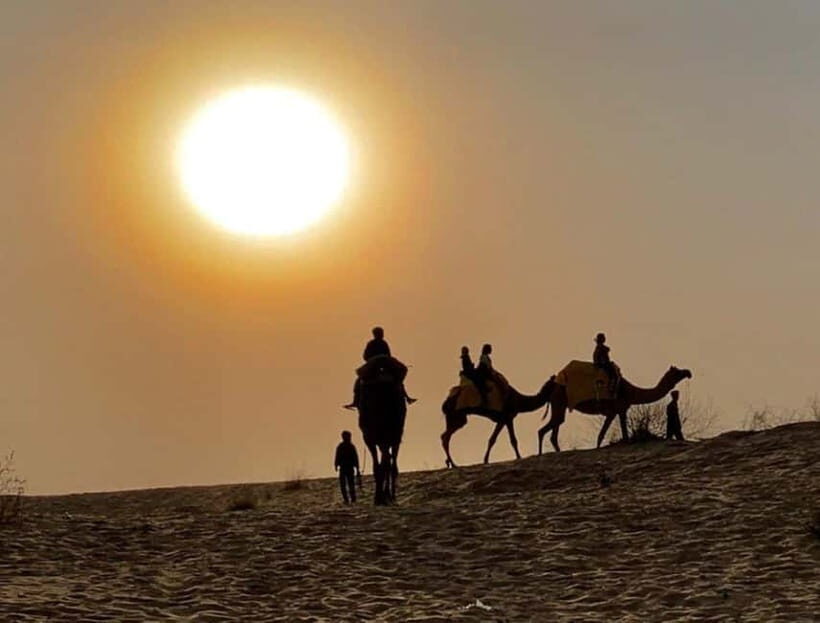 Jodhpur : Jeep Safari, Camel Ride,Buffet Dinner & Folk Dance - Camp Dinner and Folk Dance: A Ready-Made Evening Scene
