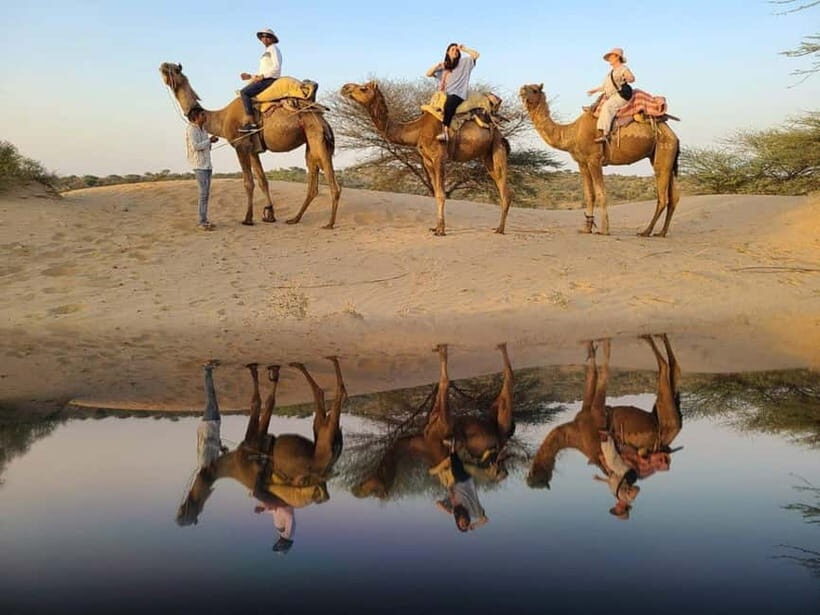 Jodhpur : Jeep Safari, Camel Ride,Buffet Dinner & Folk Dance - Practical Tips That Actually Help