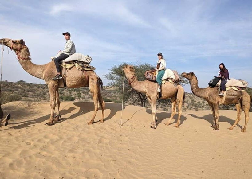 Jodhpur: Overnight Stay in Desert with Camel Safari - Jodhpur Pickup and the Late-Afternoon Run to Osian Temples