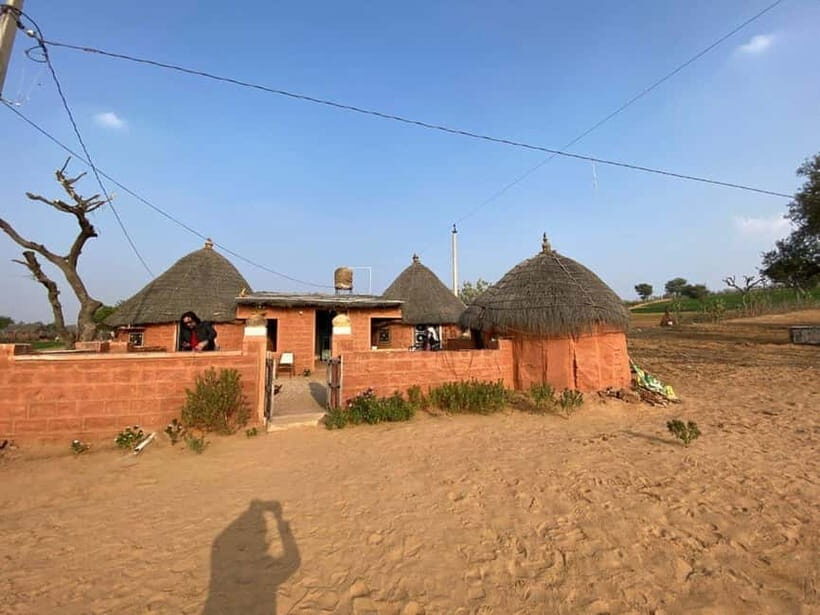 Jodhpur: Overnight Stay in Desert with Camel Safari - Camel Safari at Sunset: 1 to 2 Hours on a Real Animal