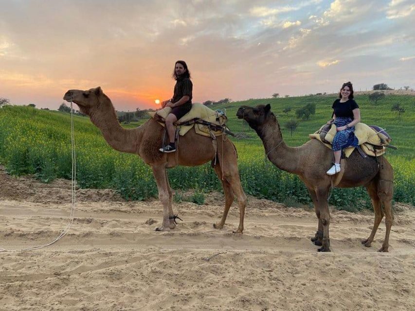 Jodhpur: Overnight Stay in Desert with Camel Safari - The Next Morning: Rajasthani Breakfast and a Calm Return to Jodhpur