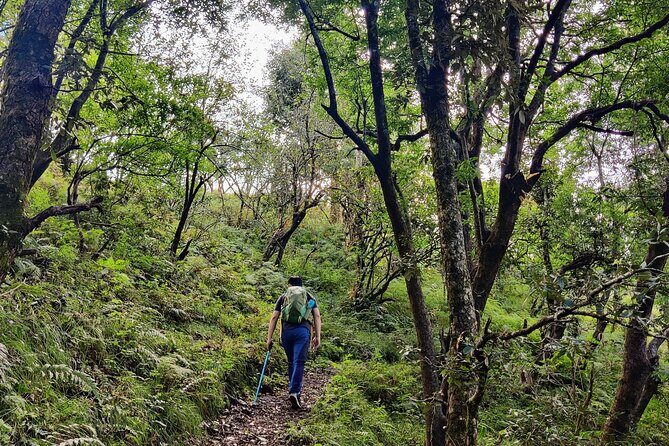 Kaflani Day Hike - Mussoorie - Where Kaflani Fits in Mussoorie (When You Want a Real Reset)