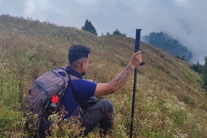 Kaflani Day Hike - Mussoorie - What you’ll experience on the Kaflani trail: forest walking plus local stories