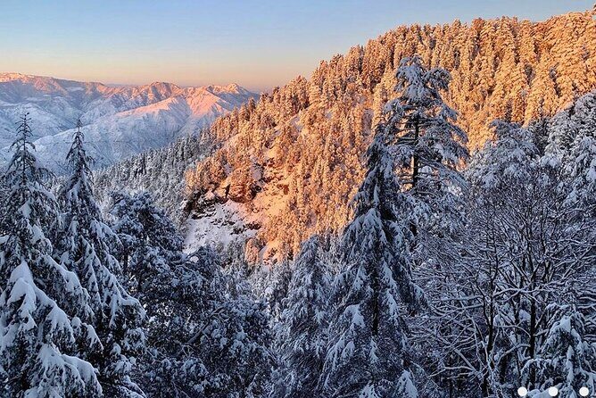 Kaflani Day Hike - Mussoorie - Trail length options: 2.5 km to 6 km, with an easy-walk approach