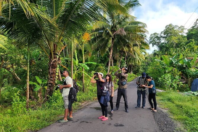 Kalapathar Sunrise, Birdwatching and Village Tour - Quick hits: what makes this tour worth your early start