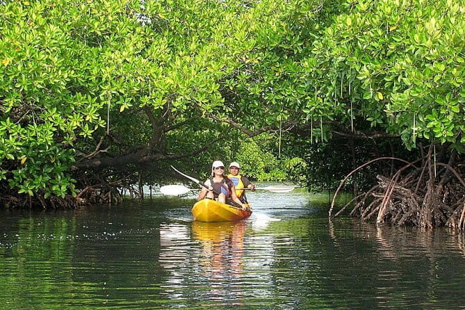 Kalapathar Sunrise, Birdwatching and Village Tour - Price and value: $34.04 for sunrise, guide time, and fees