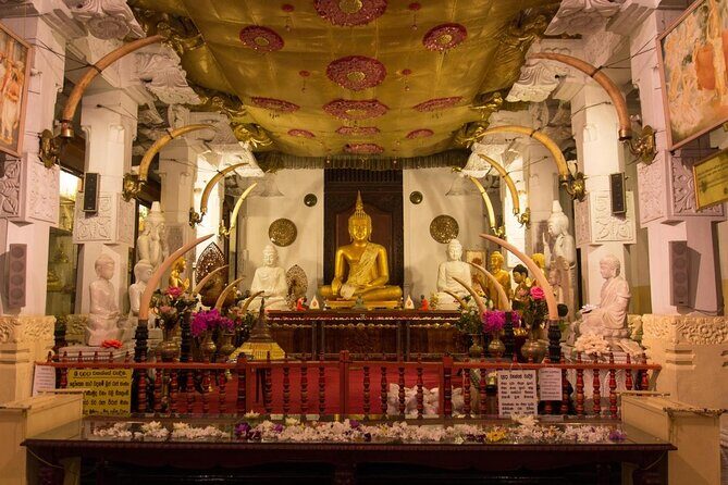 Kandy Day trip from Kalutara Beruwala Bentota Aluthgama Wadduwa - Key points to know before you go