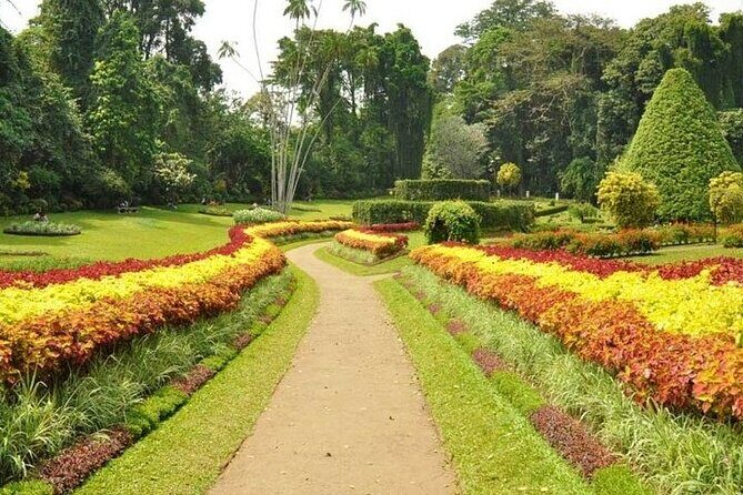 Kandy Day trip from Kalutara Beruwala Bentota Aluthgama Wadduwa - A long day to Kandy: what you actually get for $80