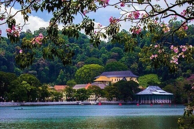 Kandy Day trip from Kalutara Beruwala Bentota Aluthgama Wadduwa - The Temple of the Sacred Tooth Relic: your main Kandy anchor