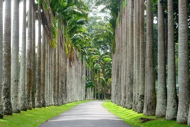 Kandy Day trip from Kalutara Beruwala Bentota Aluthgama Wadduwa - Customizing your route without breaking the schedule