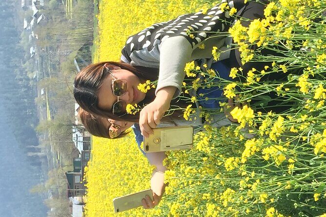 Kashmir - Paradise on Earth (6Days 5 Nights) - Tulip Garden Timing: A Flower Day That’s Worth Flexing For