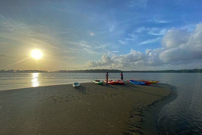 Kayaking in Mangrove Forest of Paravur Backwaters near Varkala and Kollam - Syzygy Ecosports setup: life jackets, technique, and small groups