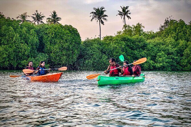 Kayaking in Mangrove Forest of Paravur Backwaters near Varkala and Kollam - Into the mangrove forest canals: the part you’ll remember