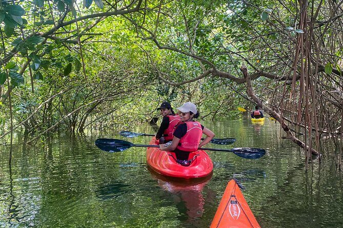 Kayaking in Mangrove Forest of Paravur Backwaters near Varkala and Kollam - From Syzygy to Railway Bridge: the first stretch of real paddling
