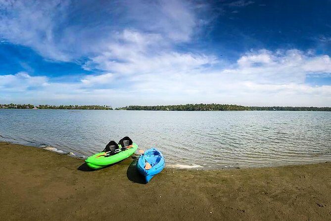 Kayaking to the Black Devil Snail Sandbar Island in Paravur Lake near Varkala - Your sandbar break: rest, photos, birds, and a simple pause button