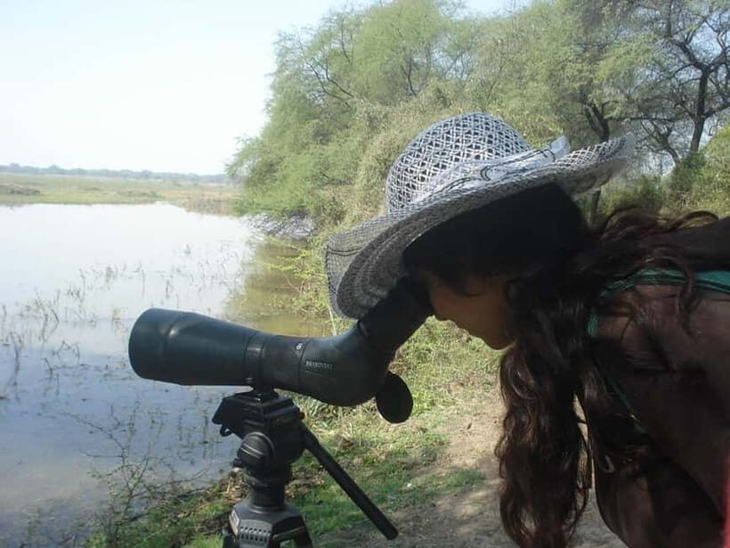 Keoladeo National Park Tickets and Guided Tour - Key highlights you’ll feel right away