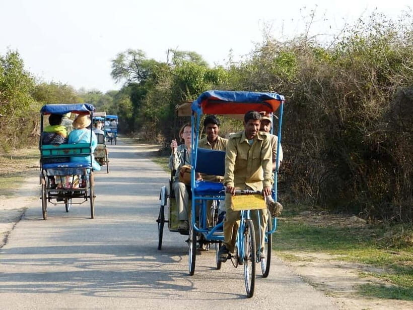 Keoladeo National Park Tickets and Guided Tour - Entering the park: meet-up, e-ticket flow, and the on-ground rhythm