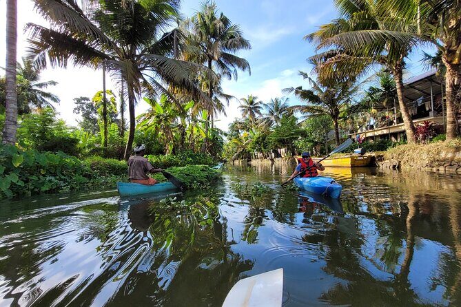 Kerala Backwater Village Kayaking Tour: Alleppey - Price and Value: What $30.12 Gets You in Alleppey