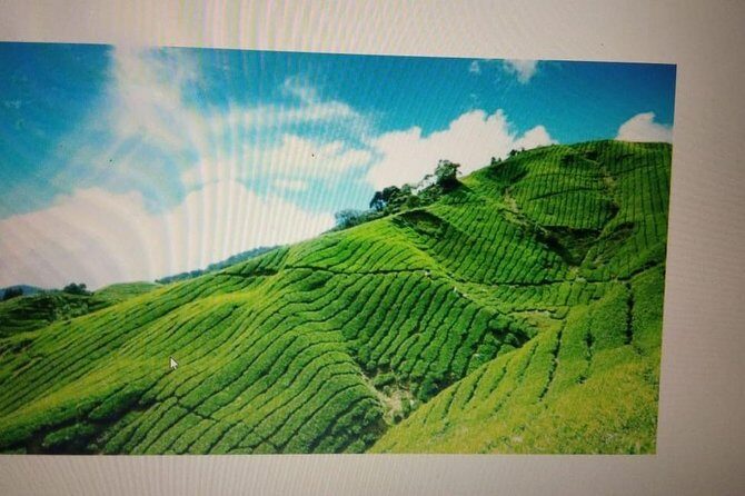Kerala Honeymoon Package - Key Things I’d Pay Attention To